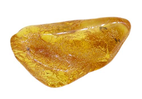 Bernstein Trommelstein 20-25 mm