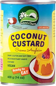 NATURE'S CHARM Kokosnusspudding, 400 g