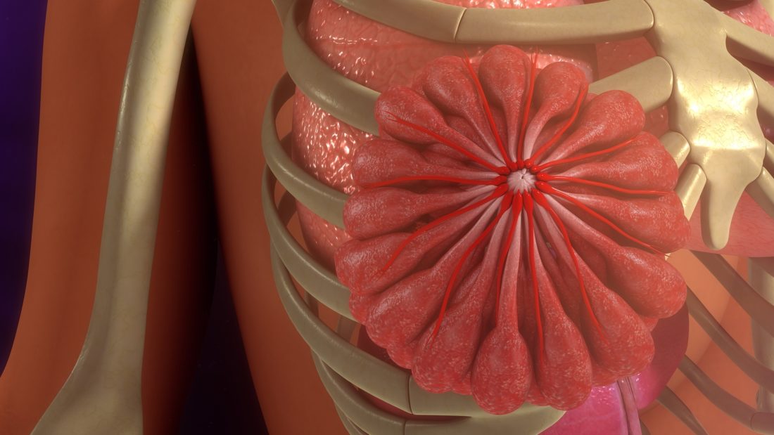 Juckende Brustwarzen, was tun - Hilfe bei Beschwerden: 7 29 brustwarze aufbau e1533136364874