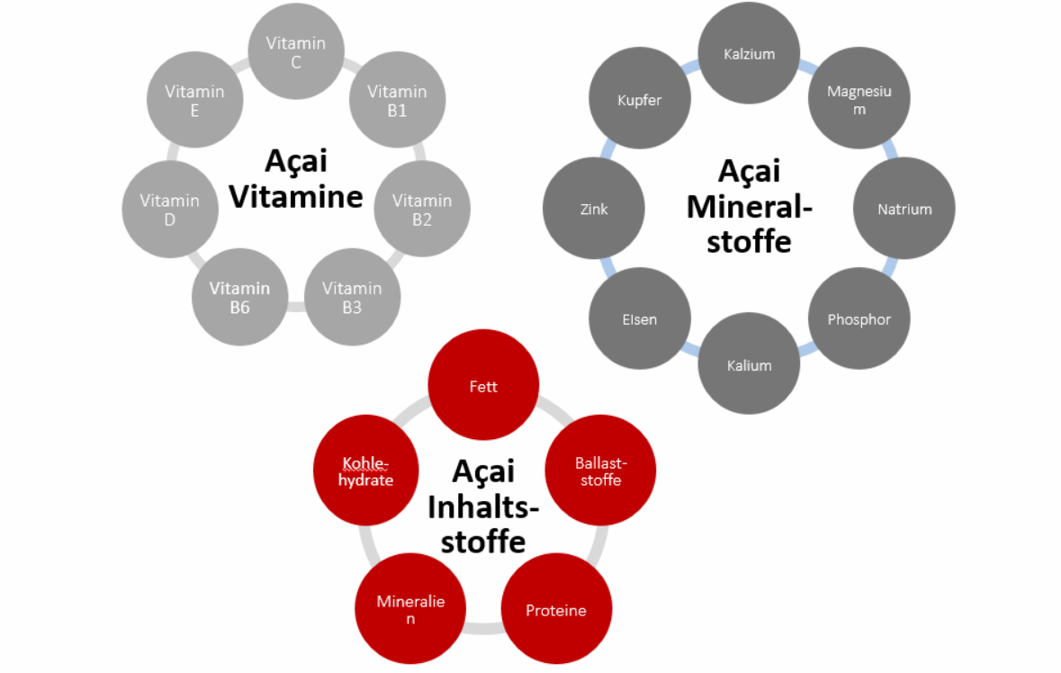 Welche Pflanze ist das? acai inhaltsstoffe