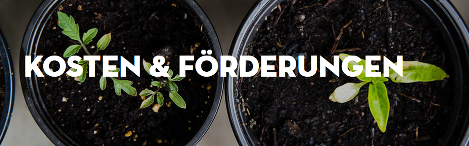 Begrünte Hausfassaden - BeRTA Projekt & Förderung für Fassadenbegrünung in Wien - All-in-One Paket berta wien