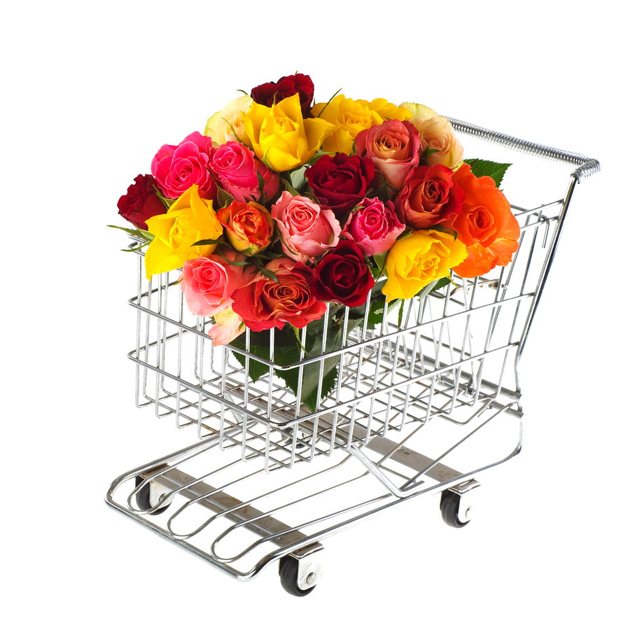 bigstock Shopping Flowers 11359349