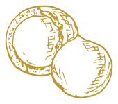 Macadmia Nüsse mit und ohne Schale