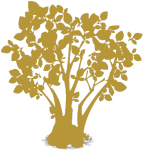 Haselnussbaum Illustration