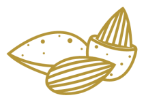 Mandelkern in Schale