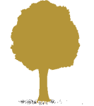 Walnussbaum Illustration