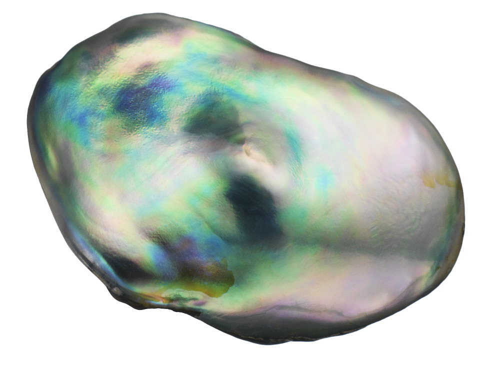 Perle – Besonderheit aus dem Meer Perle – Besonderheit aus dem Meer